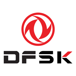 Dfsk
